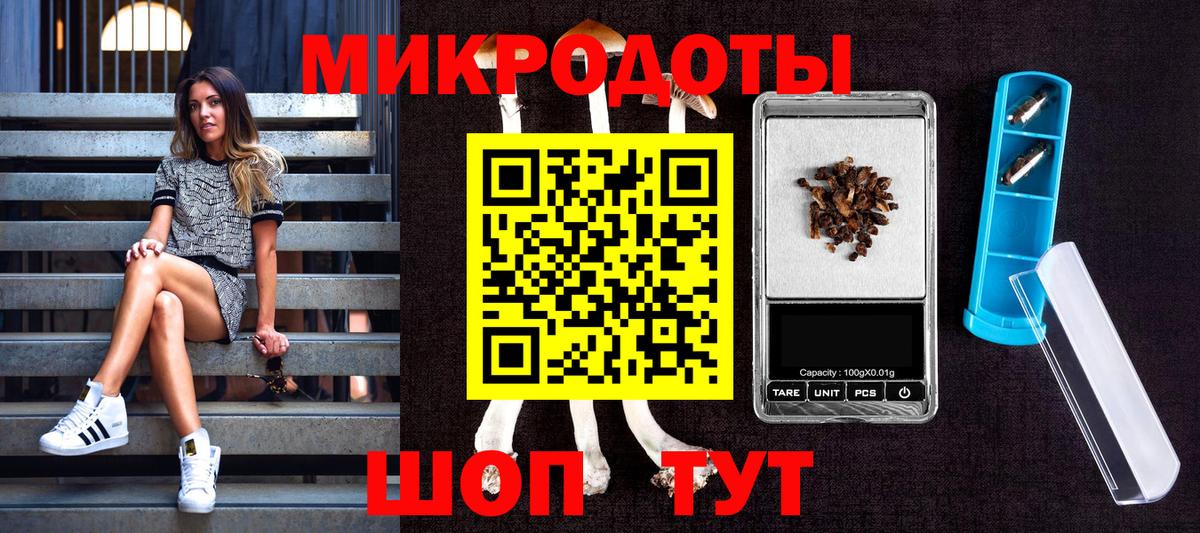 Псилоцибиновые грибы GOLDEN TEACHER Дзержинский